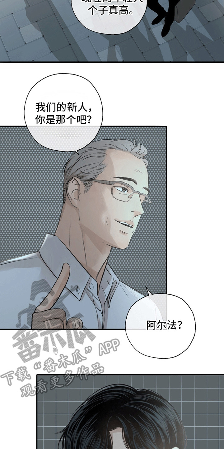 冲刺吧泳池冠军漫画,第5章：依然美好2图