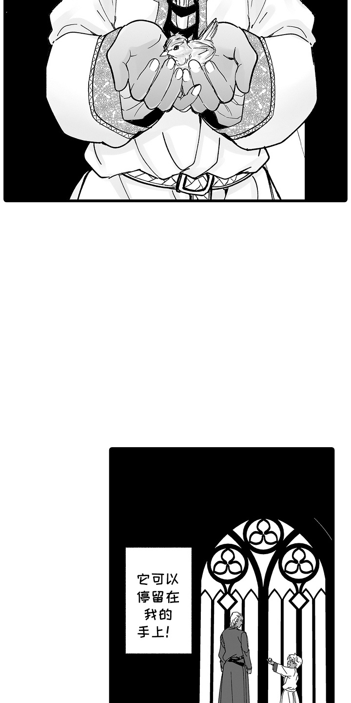 落难魔女的二胎计划结局漫画,第11章：小鸟1图