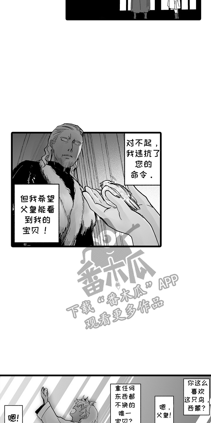 落难魔女的二胎计划结局漫画,第11章：小鸟2图