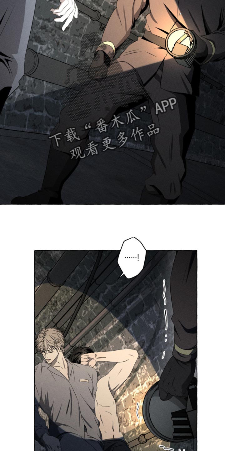 血族囚笼未婚妻详细介绍漫画,第23章：被发现了5图