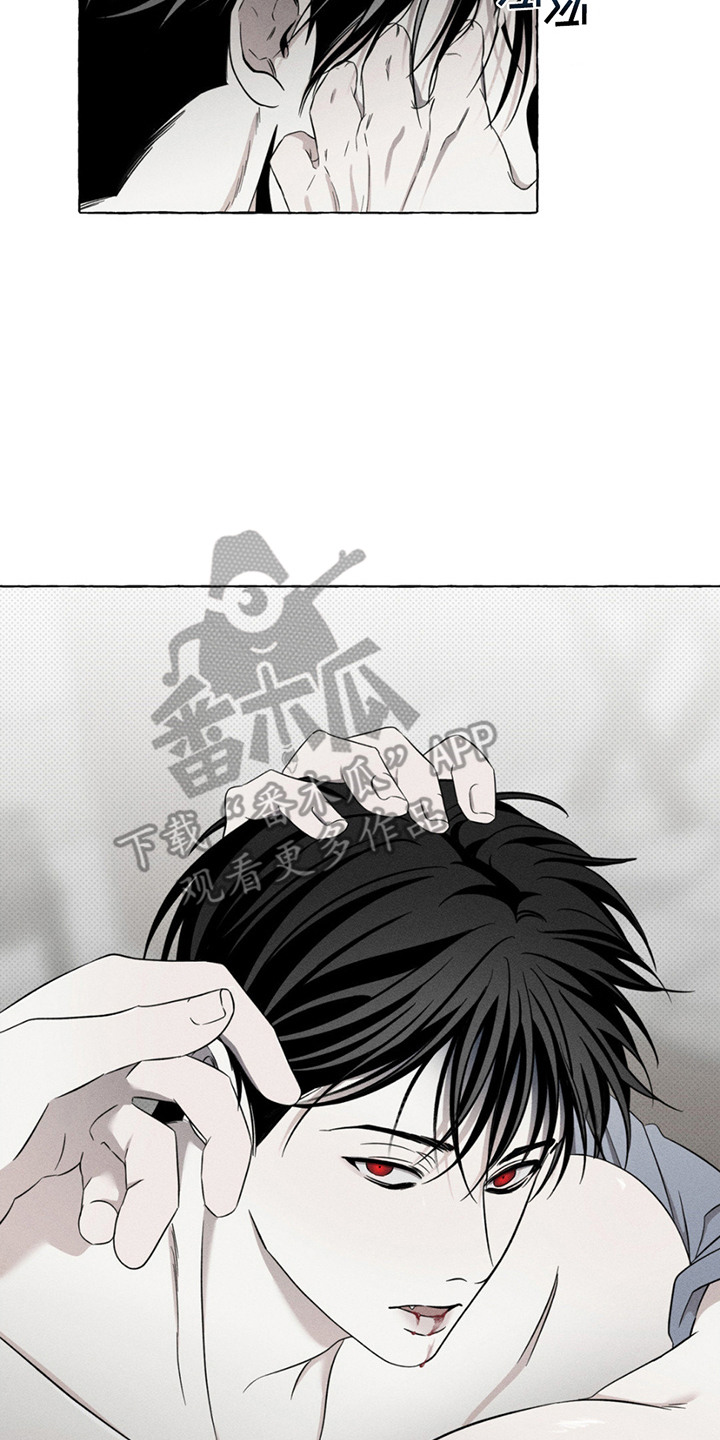 血族囚笼漫画,第15章：主动供血4图