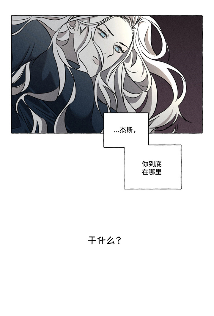 血族王冠漫画漫画,第11章：寻找2图