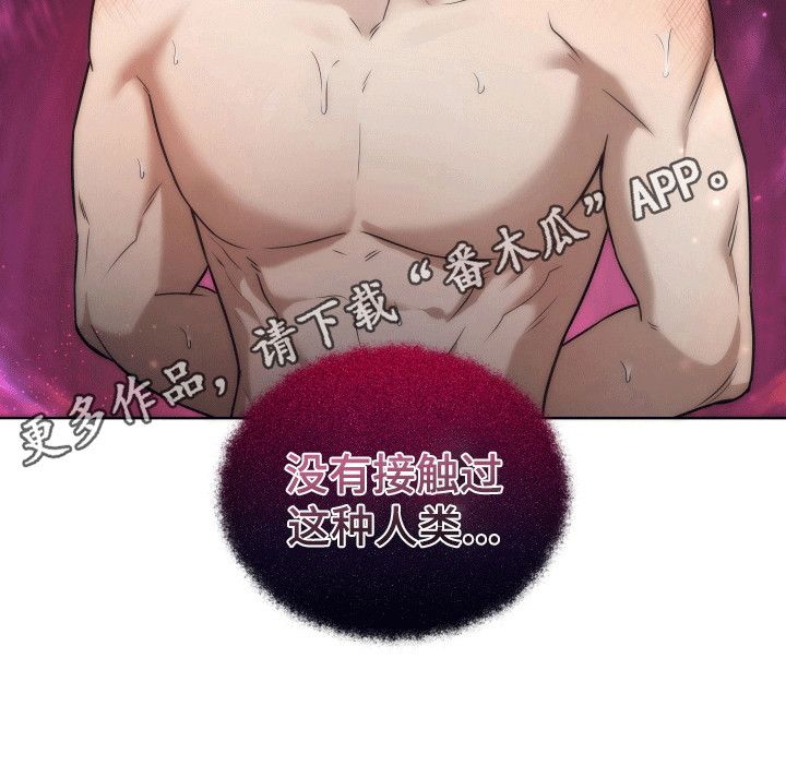 和梦魔共处一室漫画,第11章：没有接触过这种人类1图