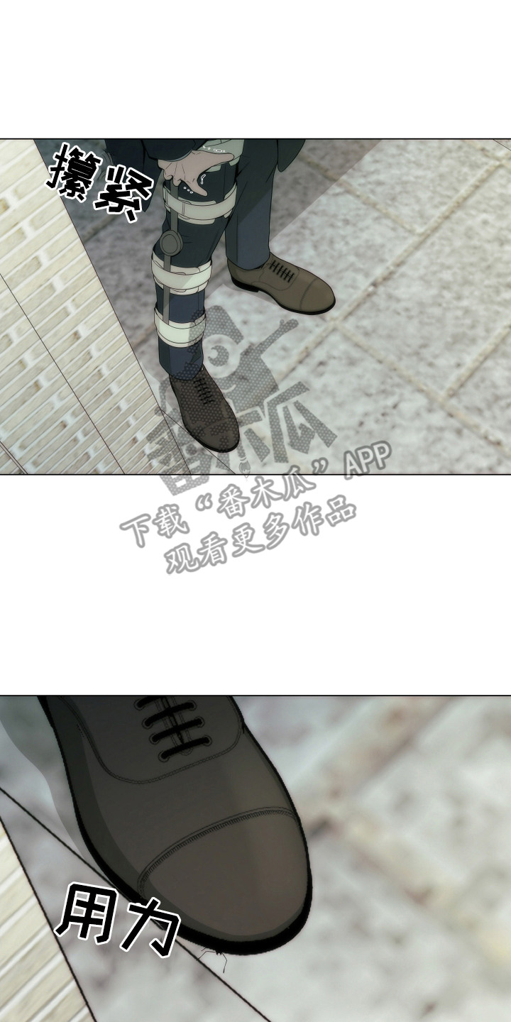 致命诱饵电影免费观看漫画,第11章：白眼狼2图