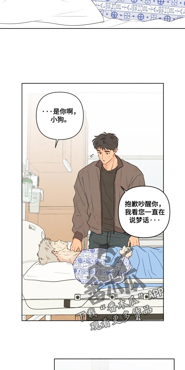 与神共舞小说漫画,第58章：【第二季】回家吧4图
