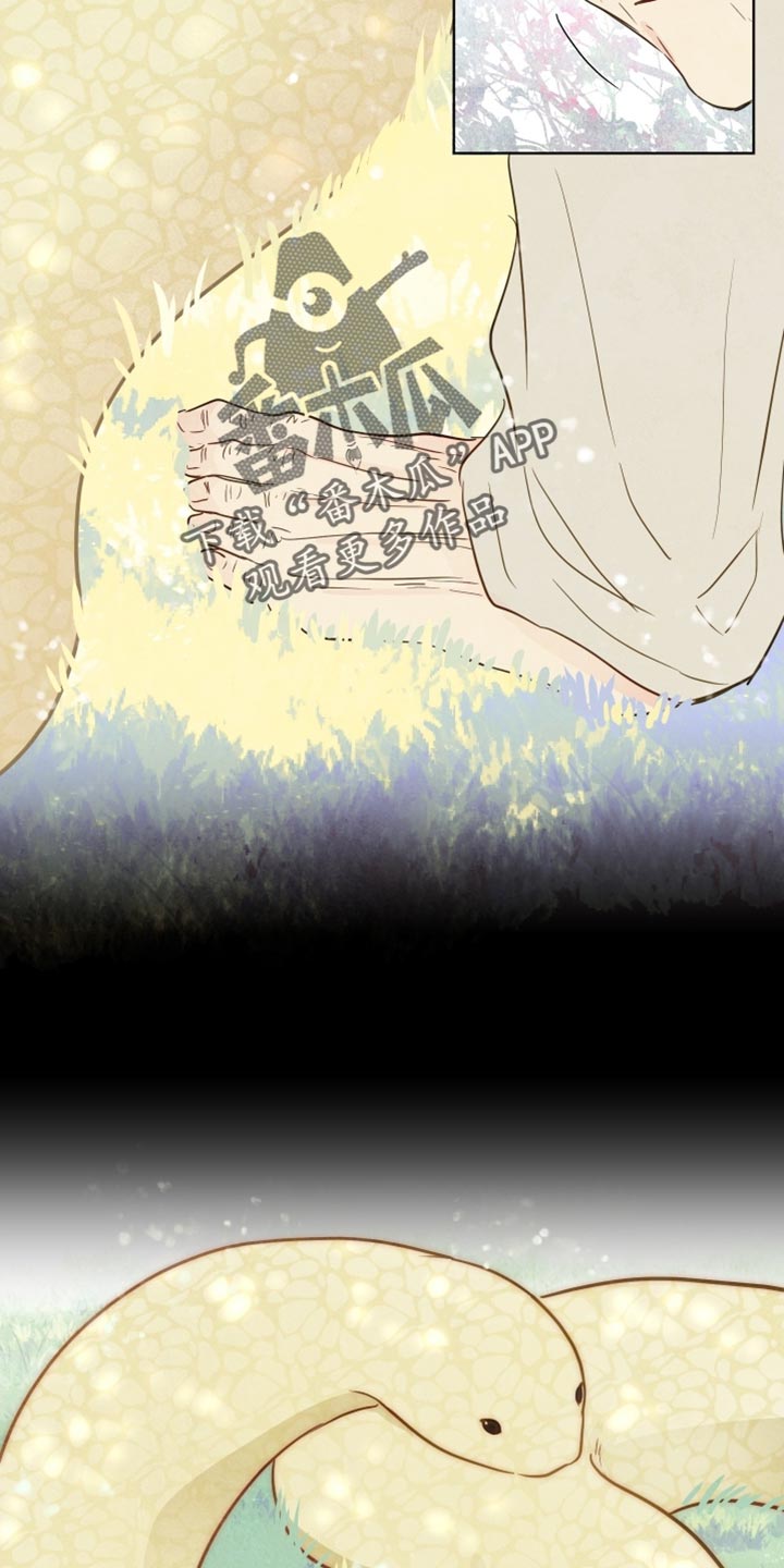 与神共舞小说漫画,第58章：【第二季】回家吧5图