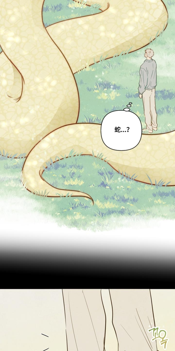 与神共舞小说漫画,第58章：【第二季】回家吧1图