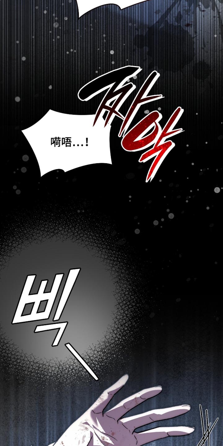 阴谋债务漫画,第96章：来取你的人头3图