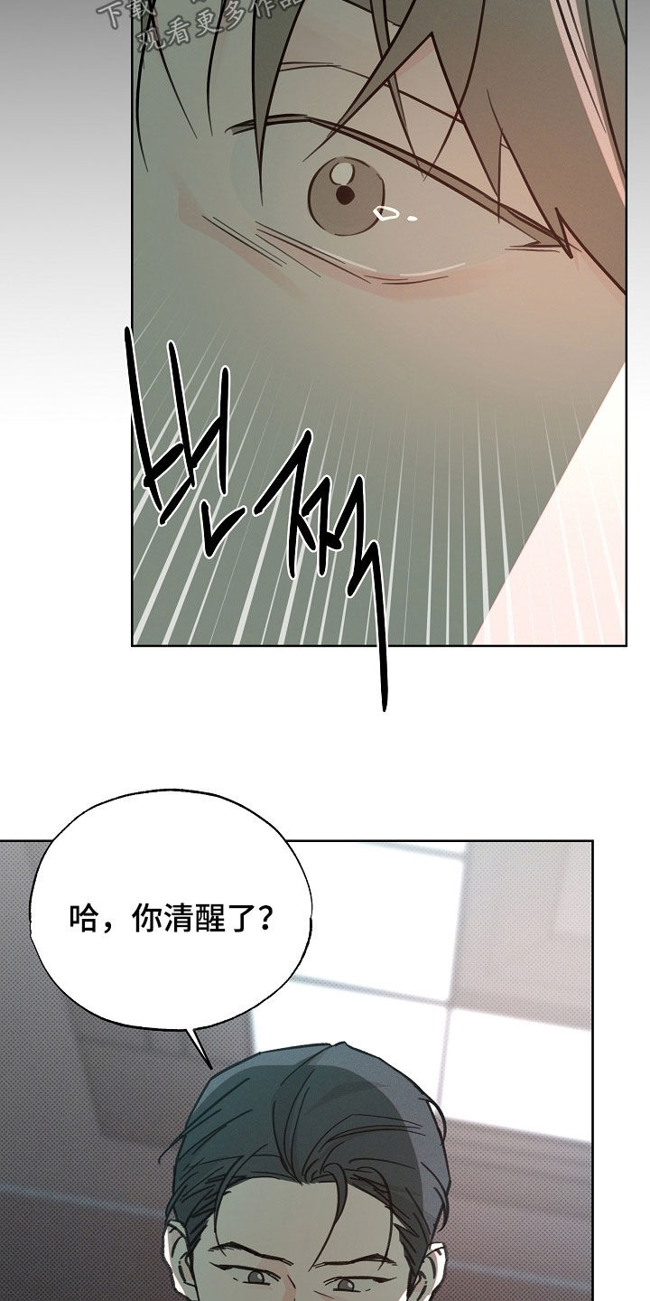 彩虹甜甜圈漫画,第75章：搞砸了一切4图