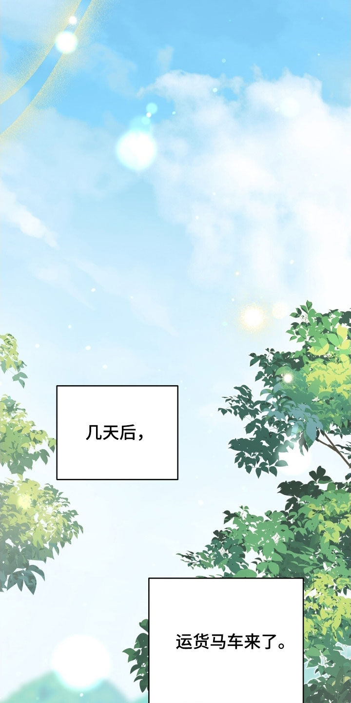 植物大战僵尸2黑暗时代漫画,第40章：成为我的弟子2图