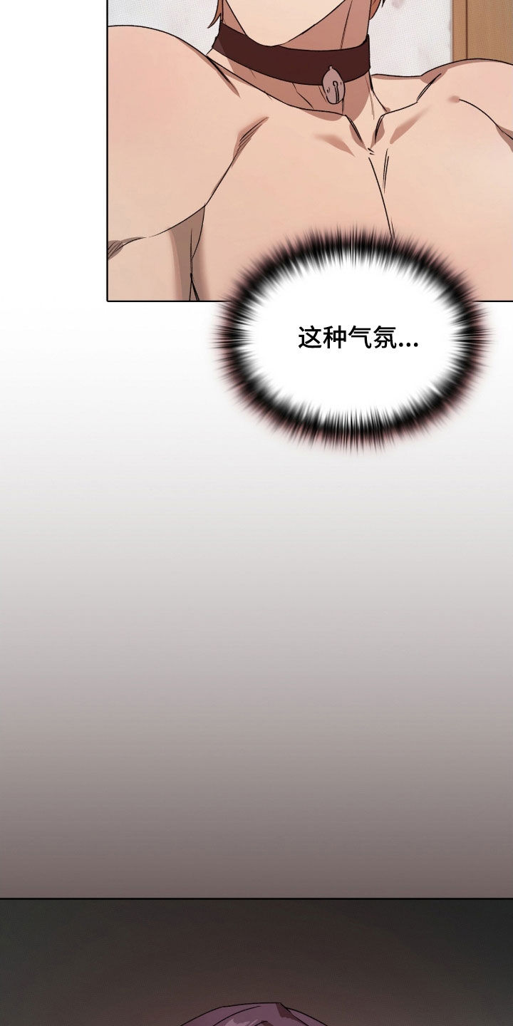 一对一是只能接一个单子吗漫画,第48章：给你就接着5图