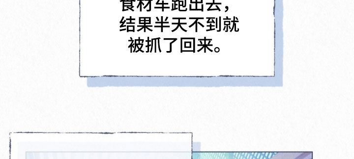 雨无痕漫画,第50章：狐狸纹身5图