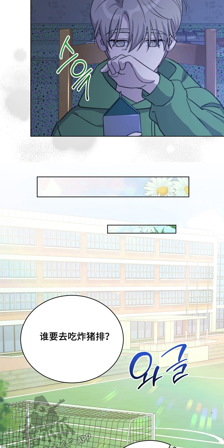 贷款等额本金和等额本息哪个划算漫画,第39章：要丢掉5图