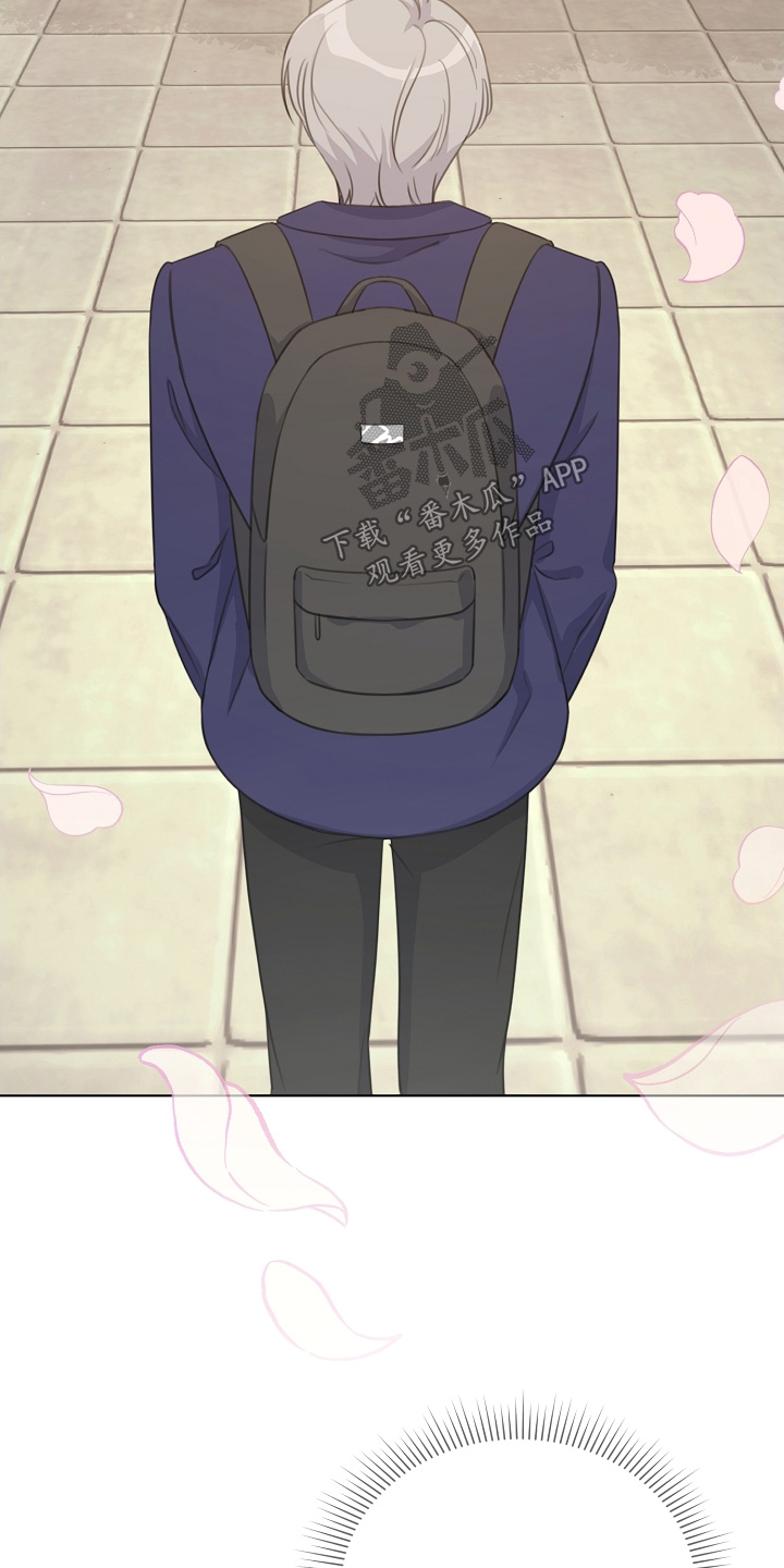 贷款等额本金和等额本息哪个划算漫画,第39章：要丢掉1图