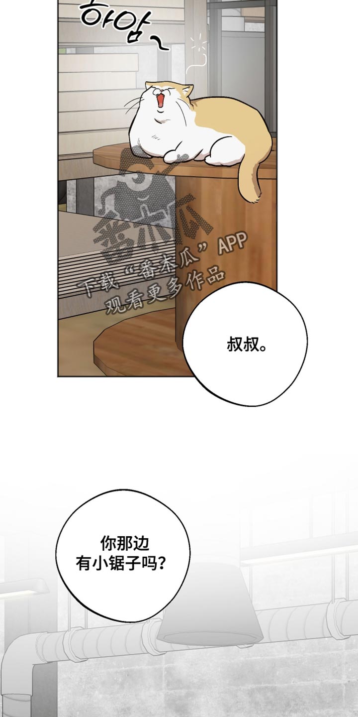 前世的祈愿漫画角色介绍漫画,第50章：做个好梦1图