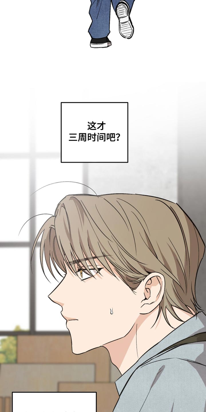 前世的祈愿漫画角色介绍漫画,第50章：做个好梦5图