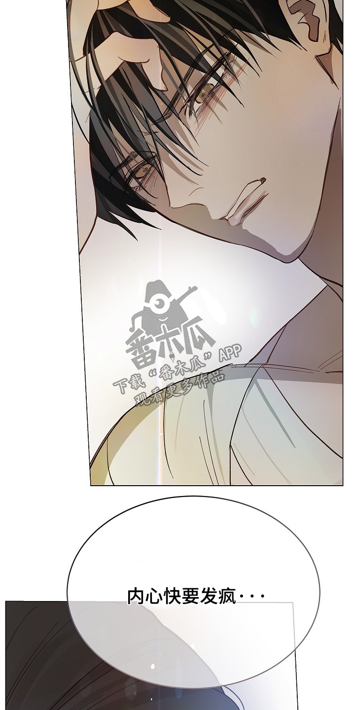 花是诱饵漫画,第81章：谢谢你们4图