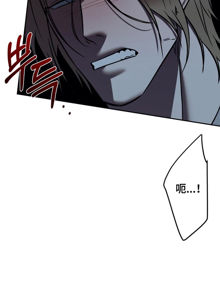 暗码图片漫画,第36章：挡箭牌3图