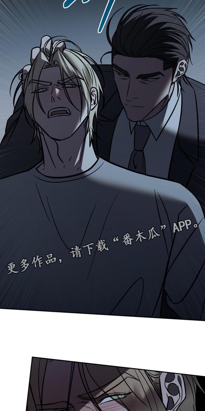 暗码图片漫画,第36章：挡箭牌2图
