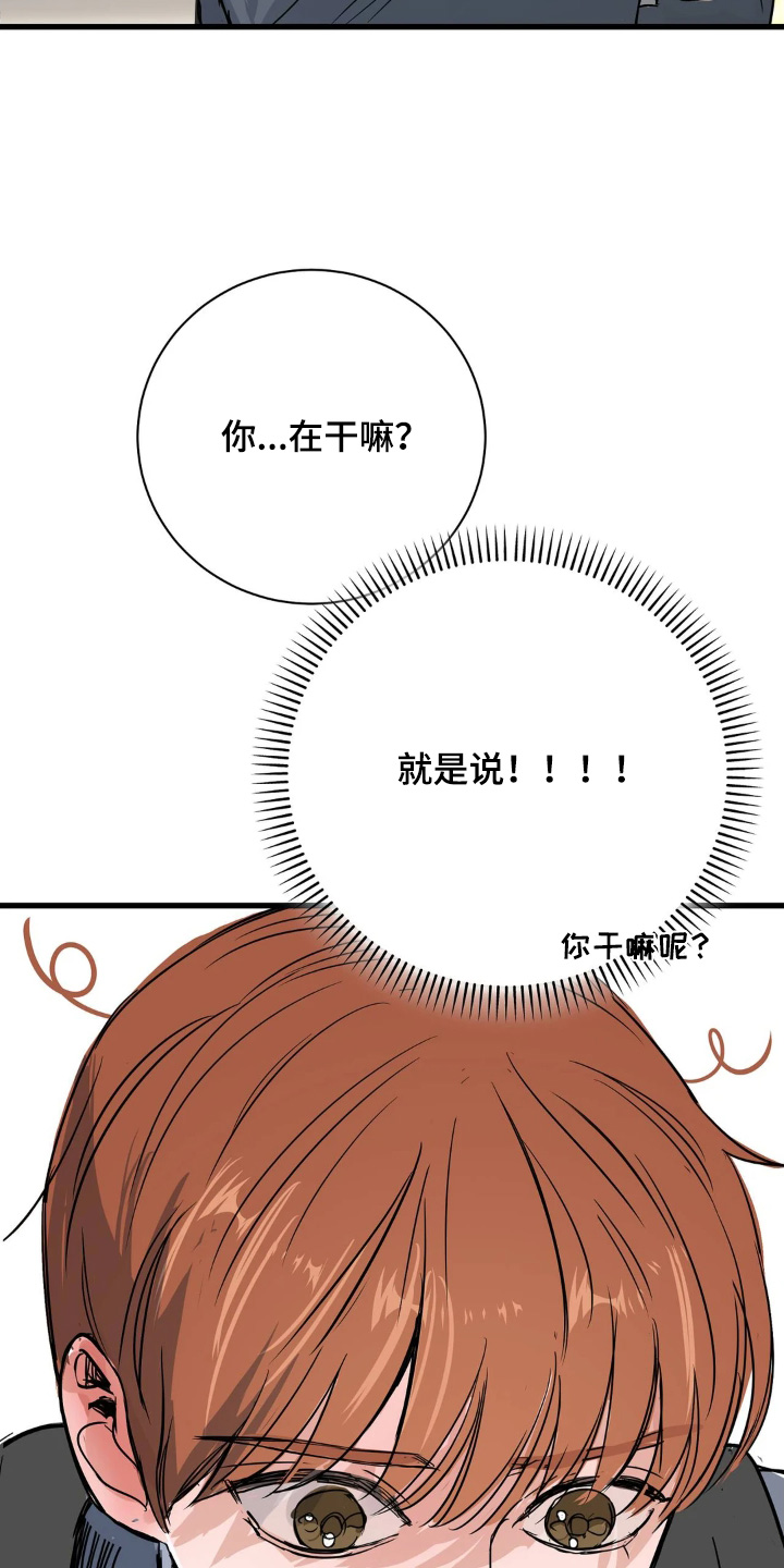 五月份的祖母绿漫画,第38章：和你没关系4图