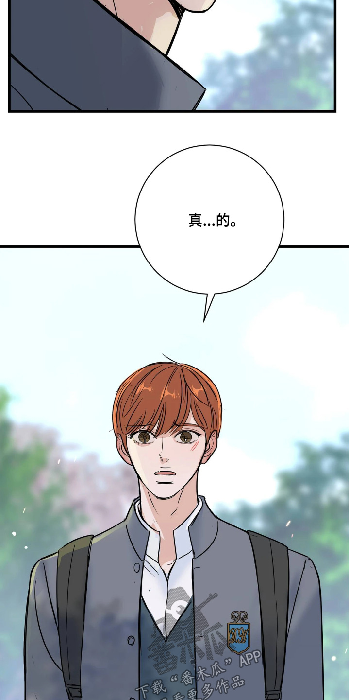 五月份的祖母绿漫画,第38章：和你没关系1图