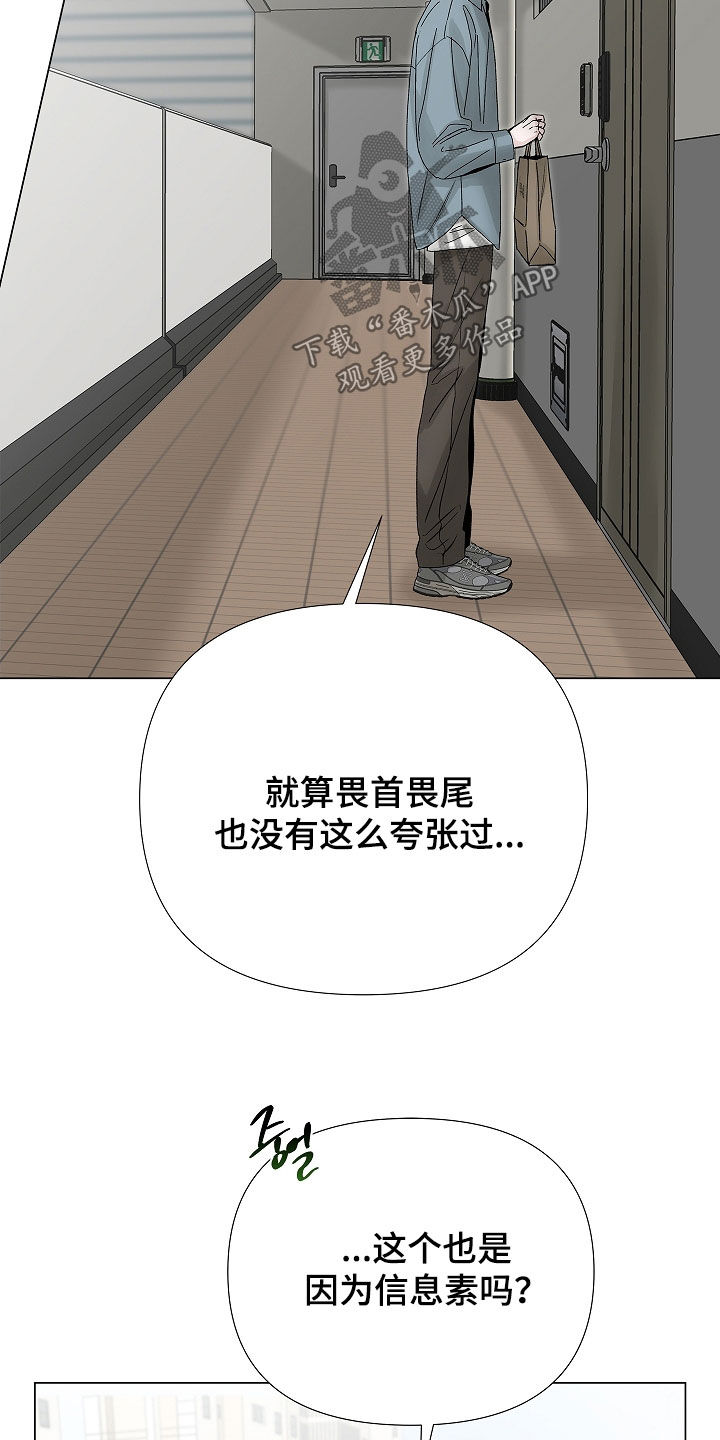 无感禁区漫画,第29章：小孩4图