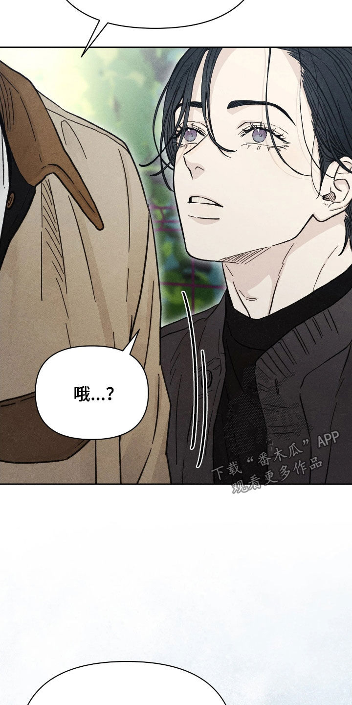 看不见的房客剧情详细介绍漫画,第31章：厄运之盐5图