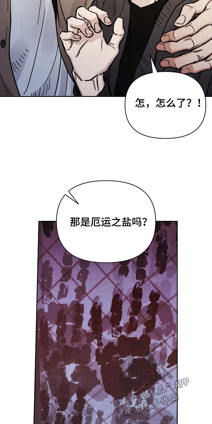 看不见的房客剧情详细介绍漫画,第31章：厄运之盐2图