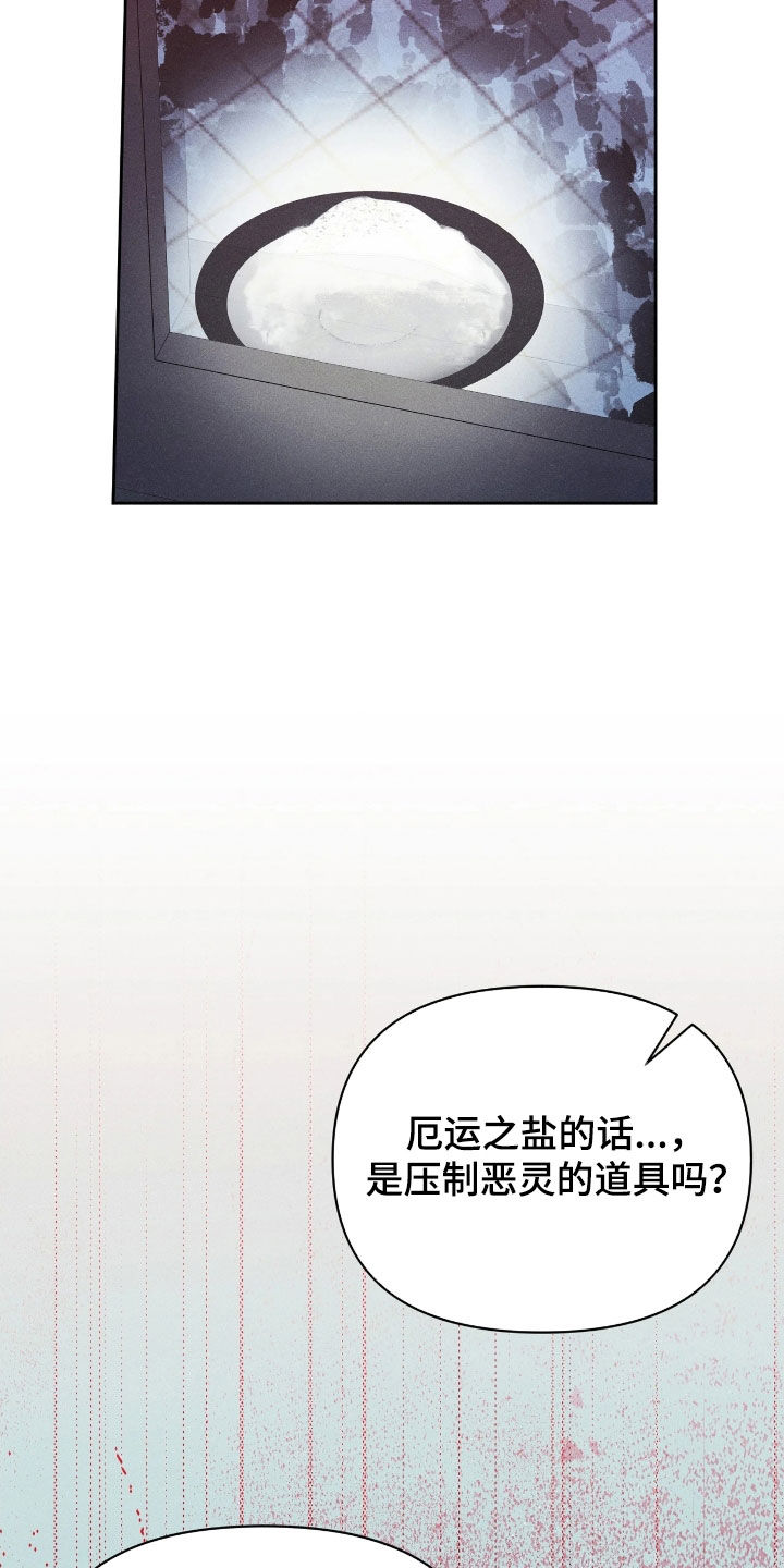 看不见的房客剧情详细介绍漫画,第31章：厄运之盐3图