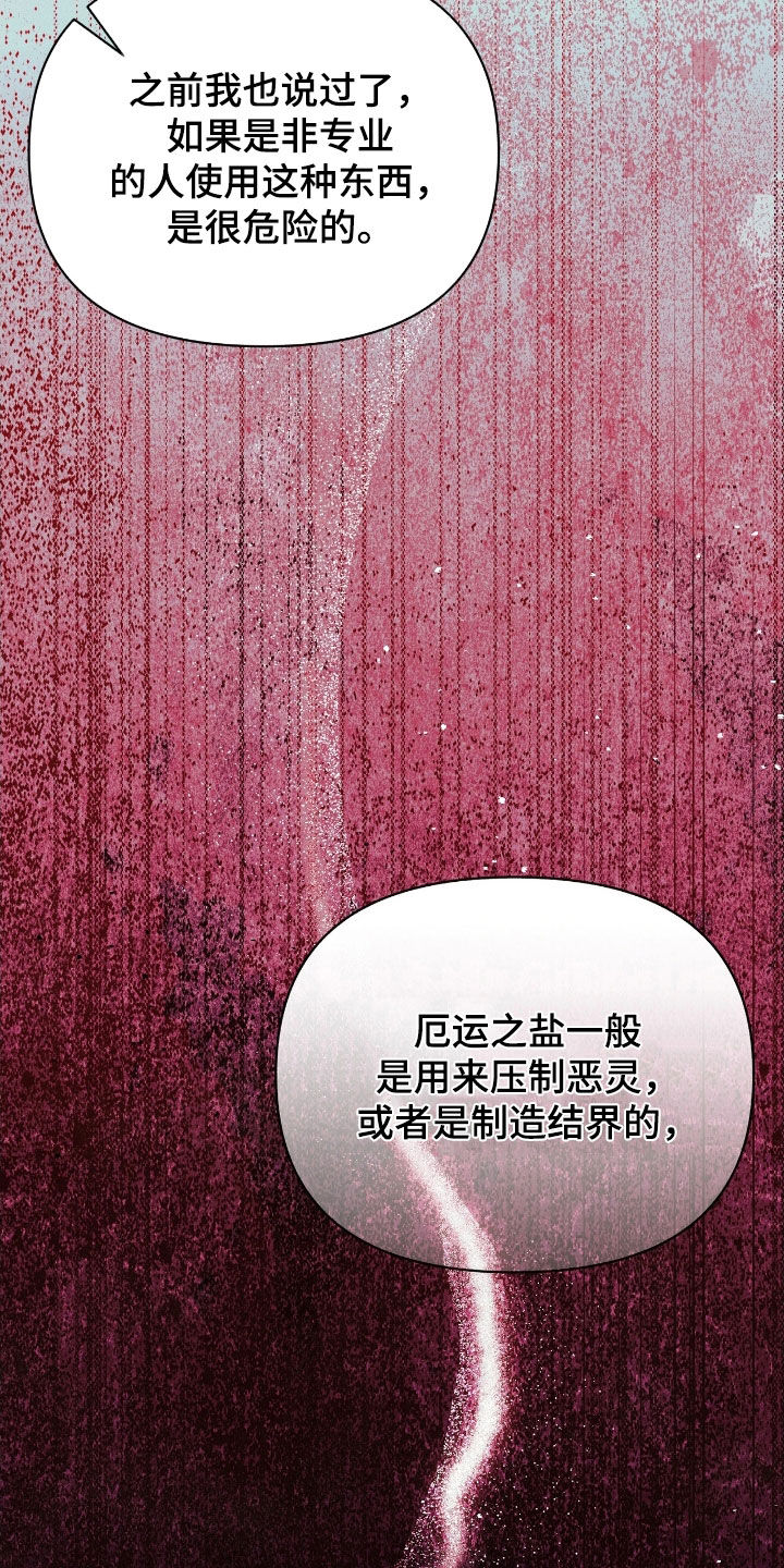 看不见的房客剧情详细介绍漫画,第31章：厄运之盐4图