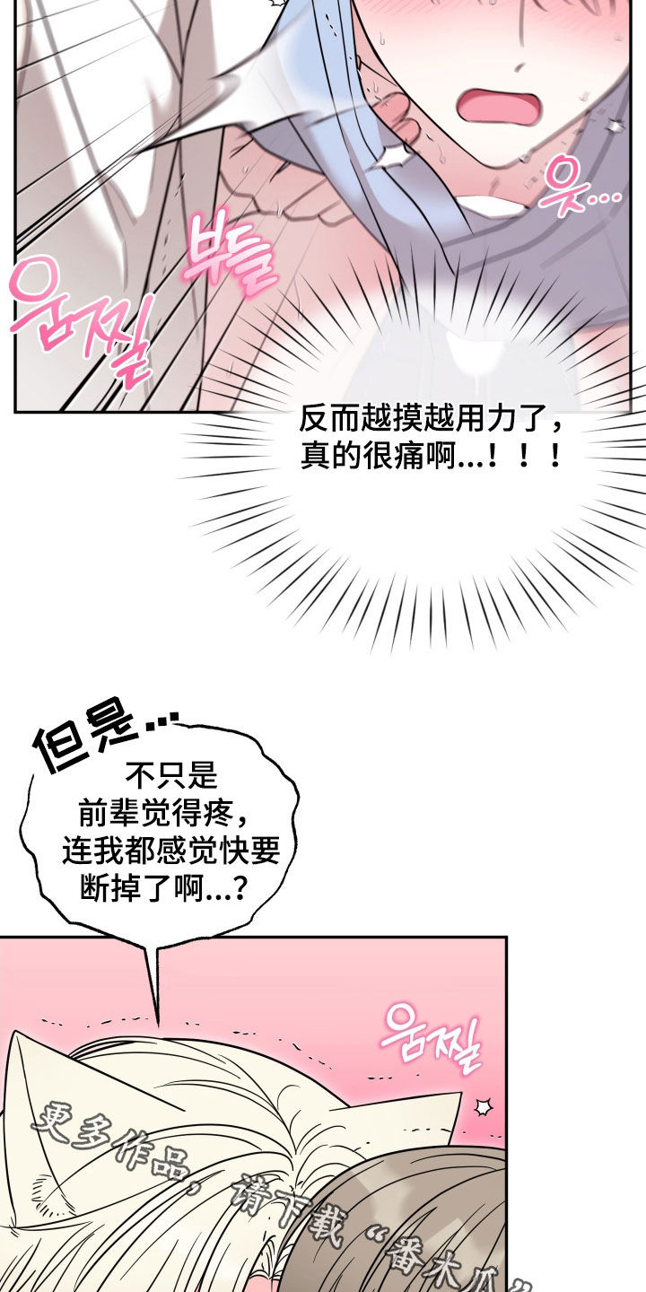 偶像有猫腻漫画设定漫画,第20章：真是要疯了4图