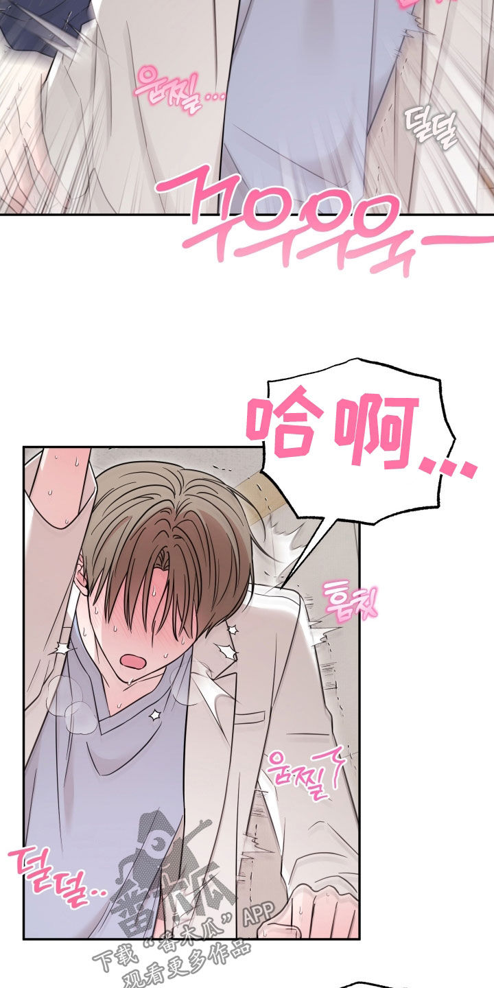 偶像有猫腻漫画设定漫画,第20章：真是要疯了5图
