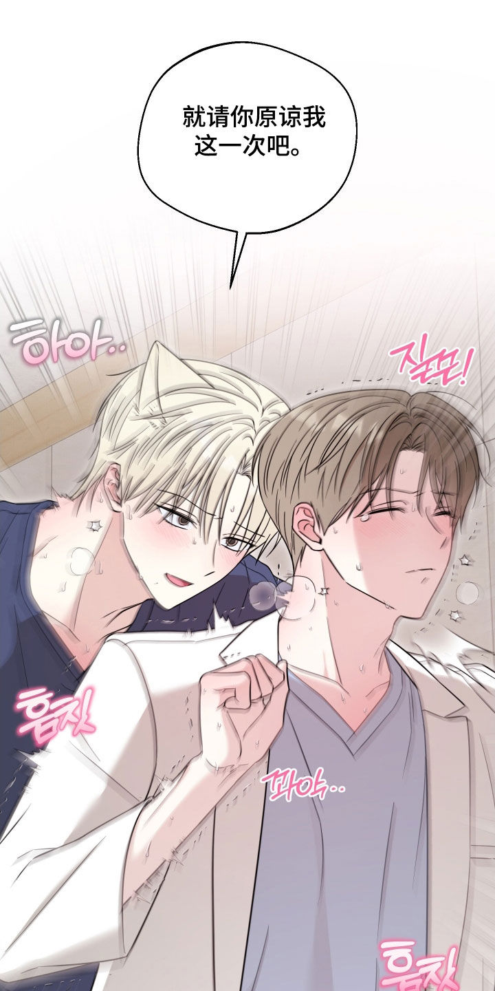 偶像有猫腻漫画设定漫画,第20章：真是要疯了4图