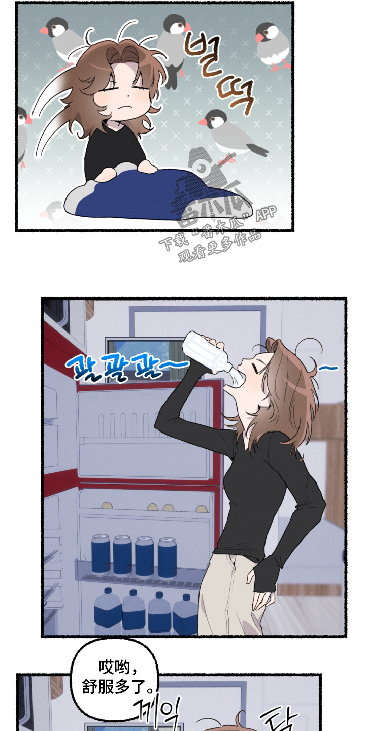 瓶中的蝴蝶免费阅读小说漫画,第19章：下定了决心1图