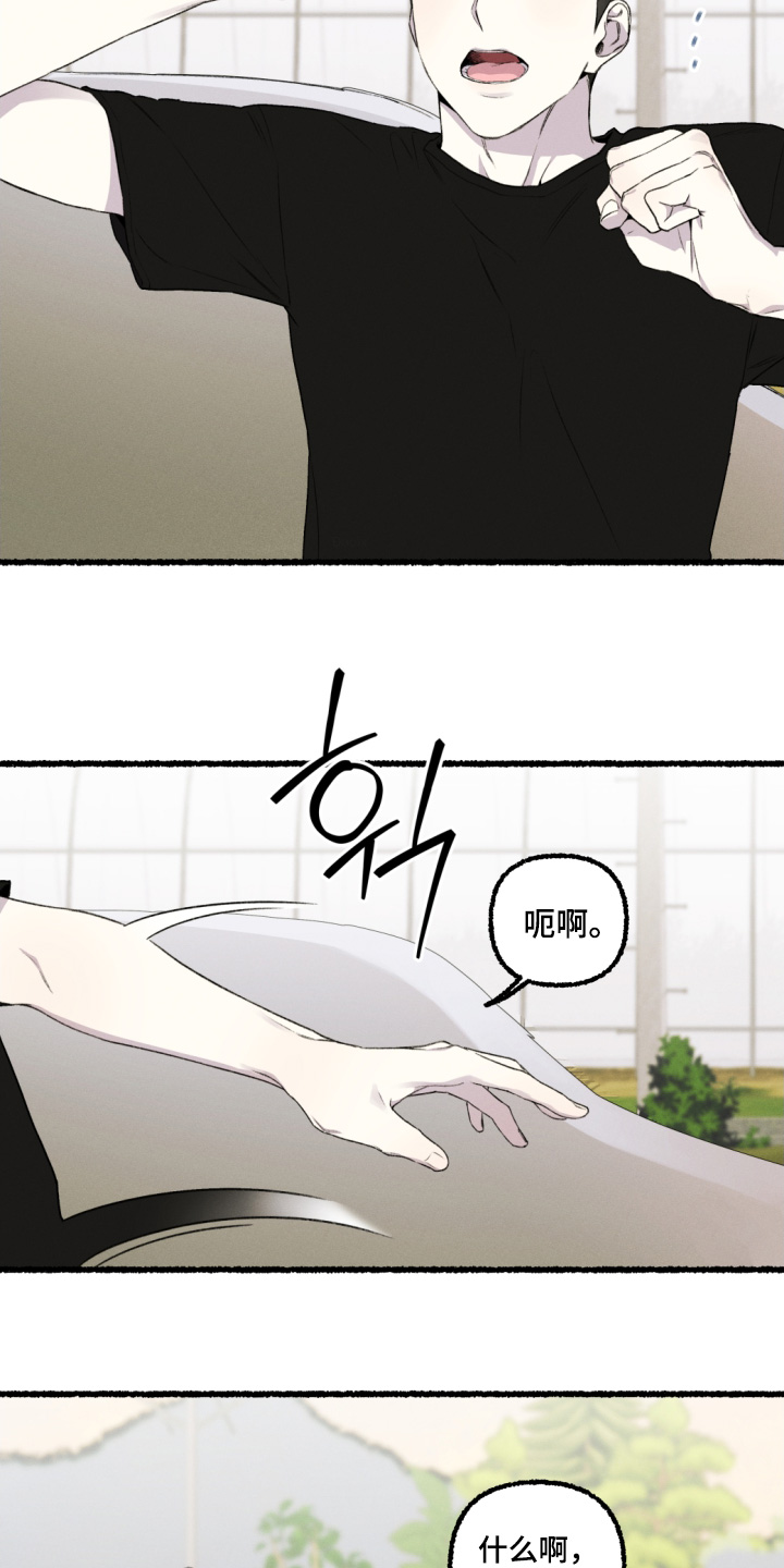 瓶中少女结局漫画,第20章：昨晚发生了什么5图