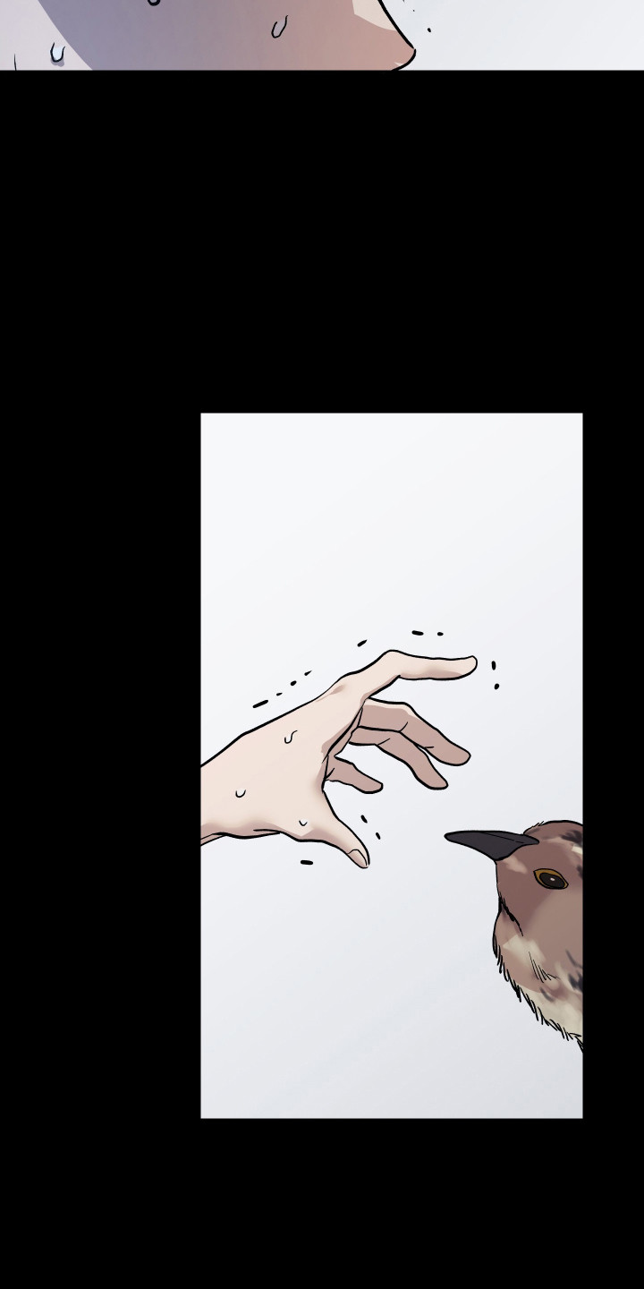 暗金共同体漫画,第12章：值得更好的5图