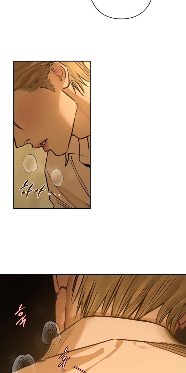 羔羊胃提取物维b12胶囊漫画,第11章：我来告诉你5图