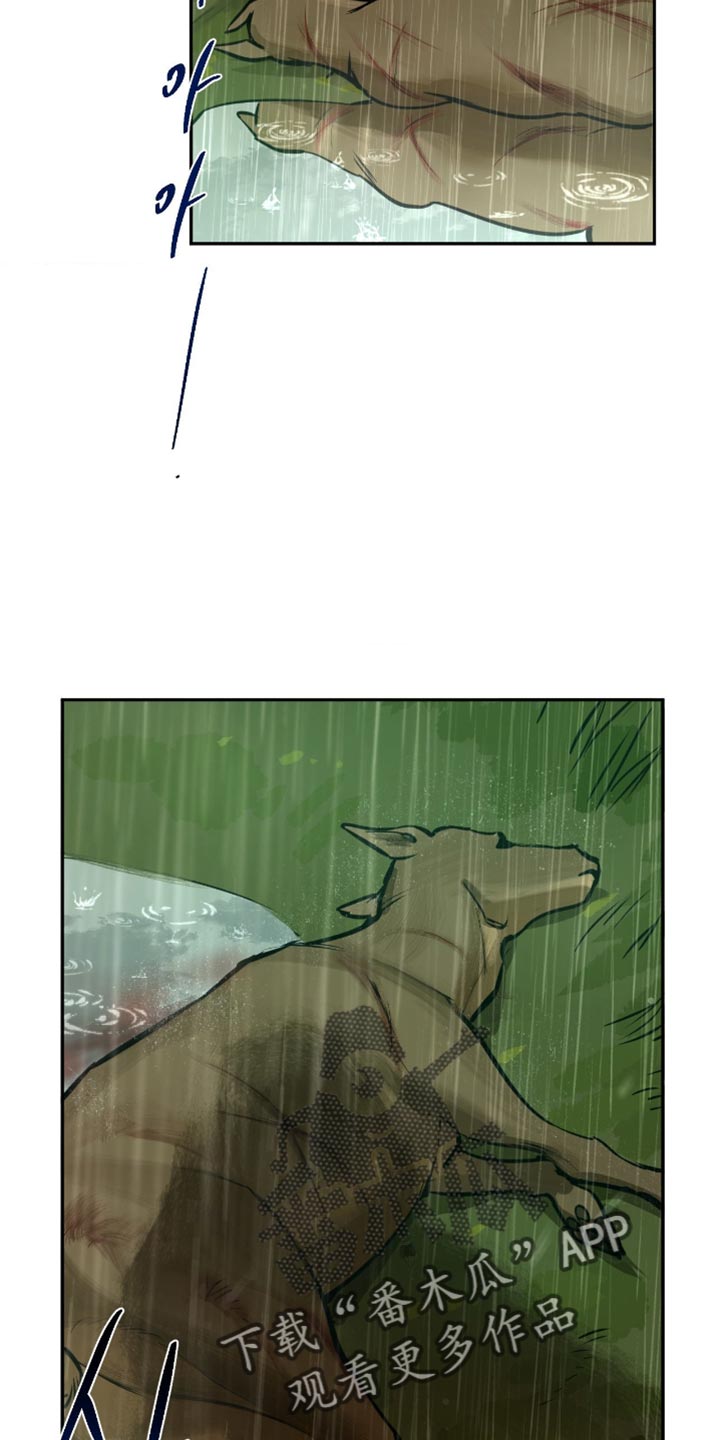 羔羊胃提取物维b12胶囊漫画,第11章：我来告诉你2图