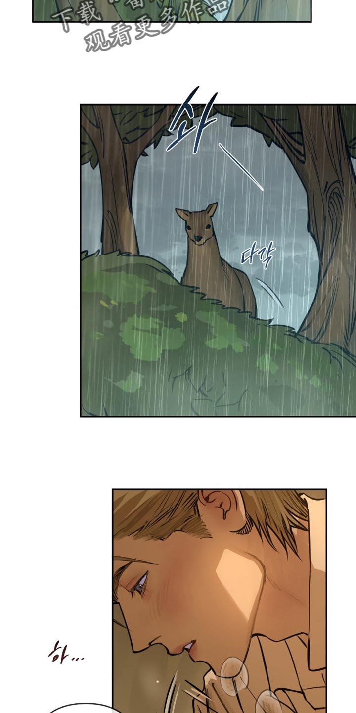 羔羊胃提取物维b12胶囊漫画,第11章：我来告诉你2图