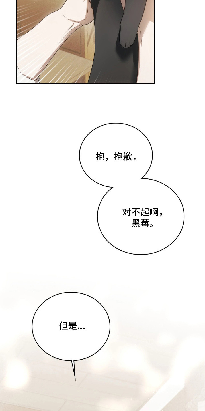 公爵300美利达漫画,第6章：解决办法3图
