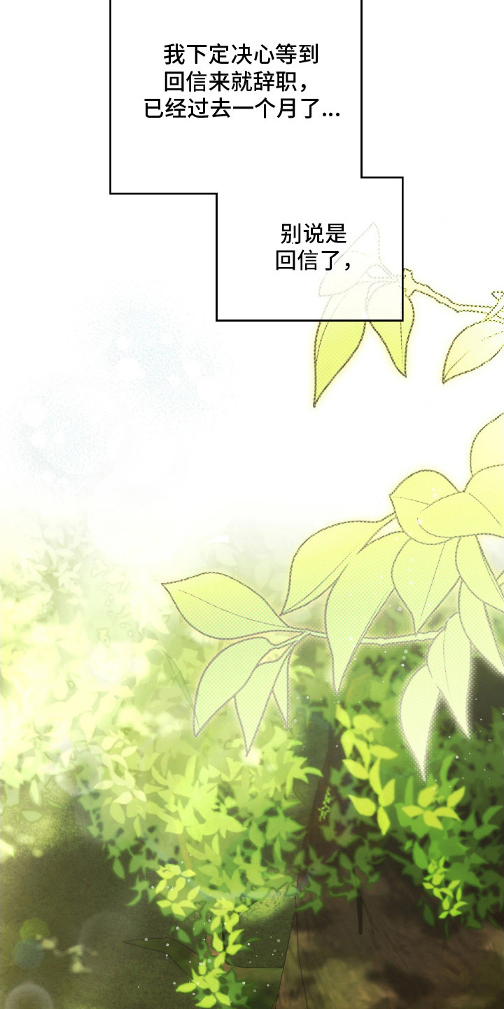 公爵的言情小说漫画,第12章：逐渐适应4图