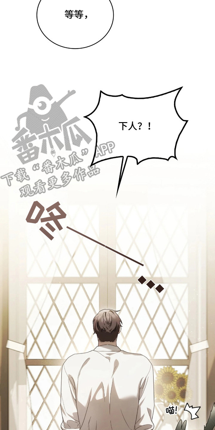 公爵300美利达漫画,第6章：解决办法1图