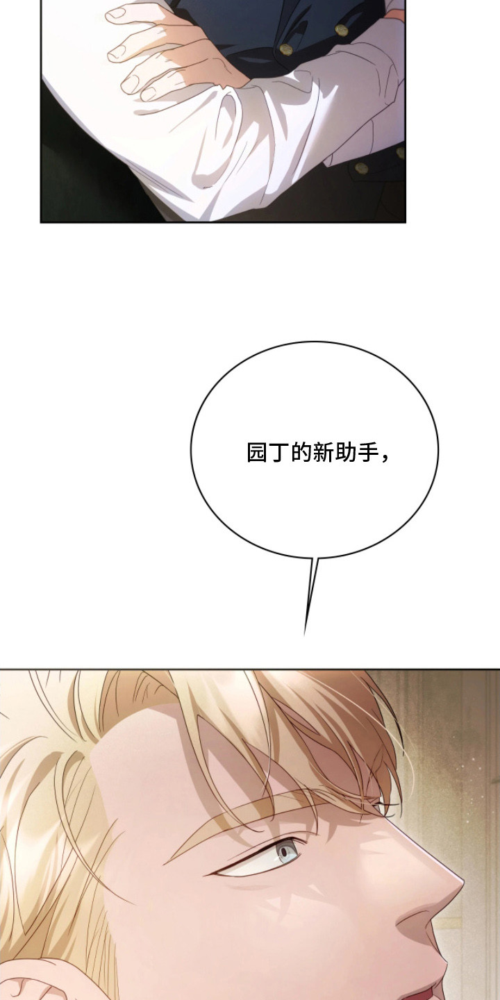 公爵情书韩文漫画,第9章：隐秘的鄙视5图