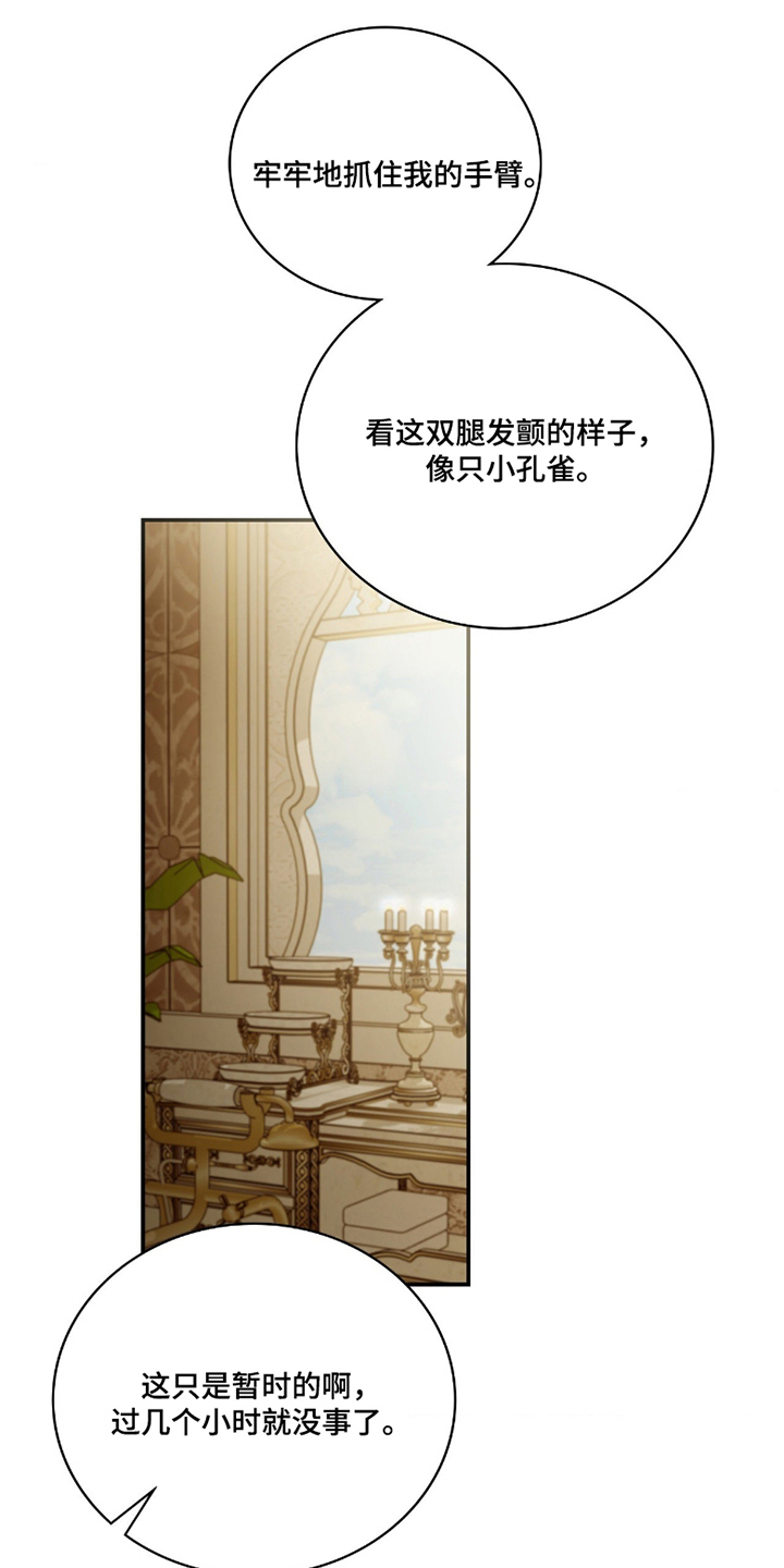 血冕之狮漫画,第6章：不记得1图