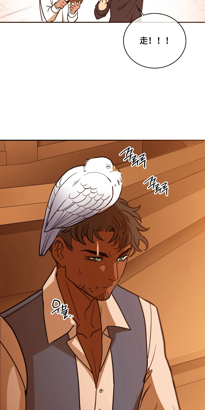 血压低60到90有危险吗漫画,第12章：跟踪4图