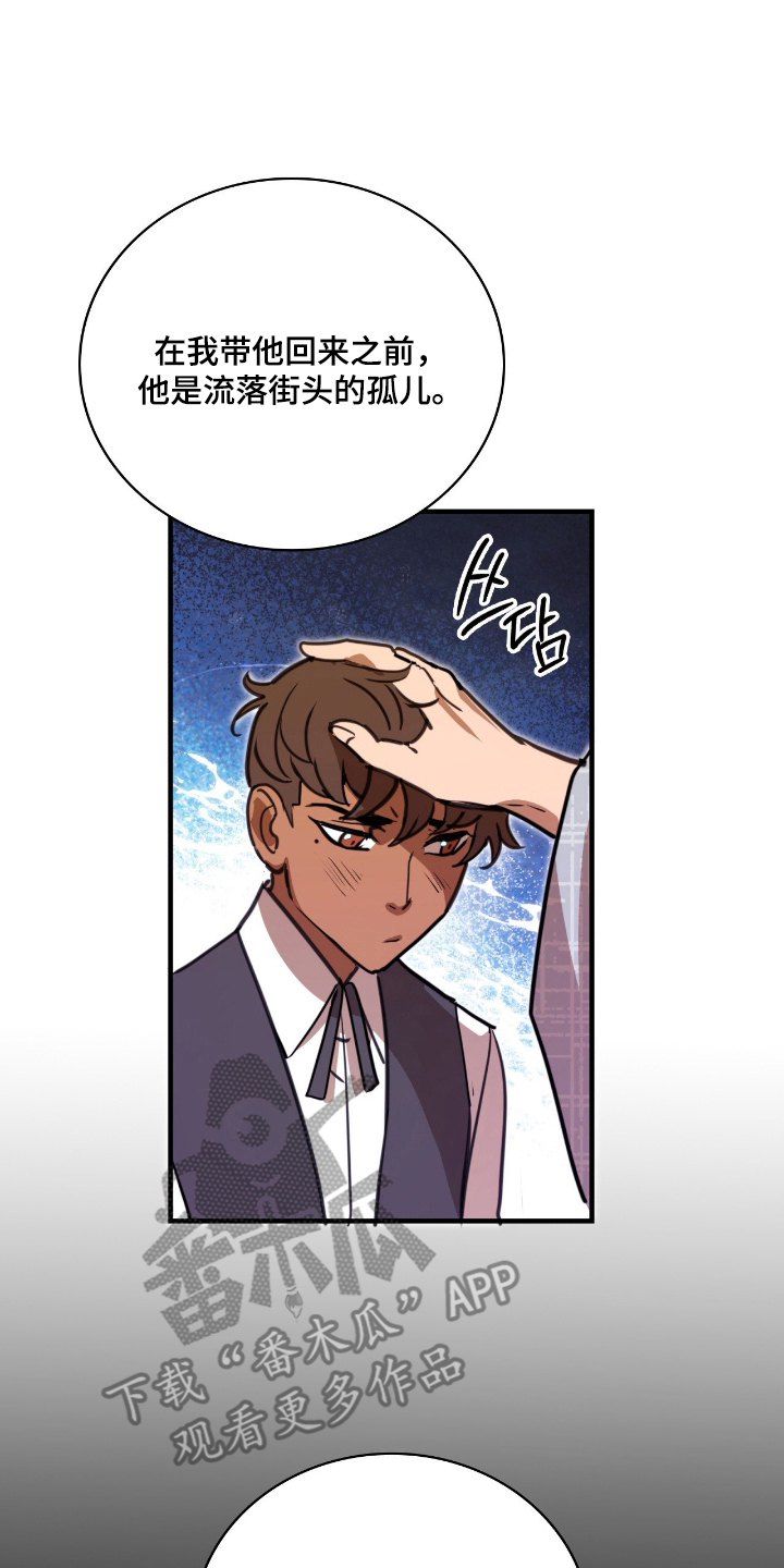 血狮大帝为何拒绝救援人族漫画,第15章：按我吩咐做事3图