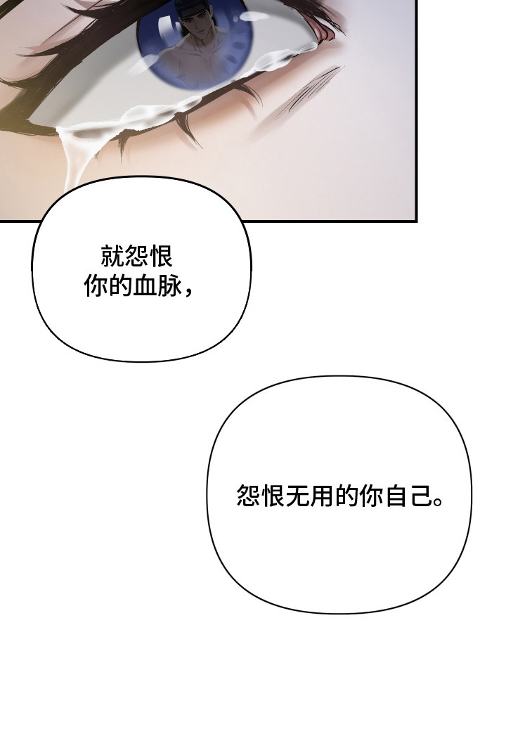 孽脉情缘书籍漫画,第2章：卑贱血脉4图
