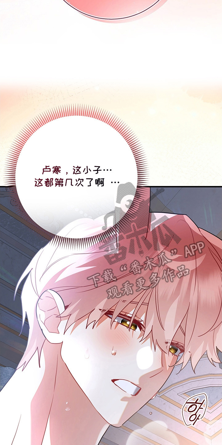 黑豹配偶超棘手动画漫画,第11章：不害臊的兔子5图