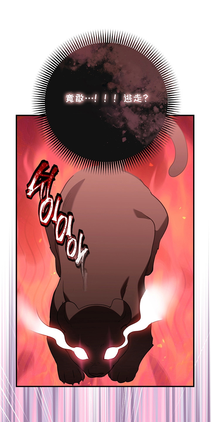 黑豹配偶超棘手角色漫画,第4章：兔毛球2图