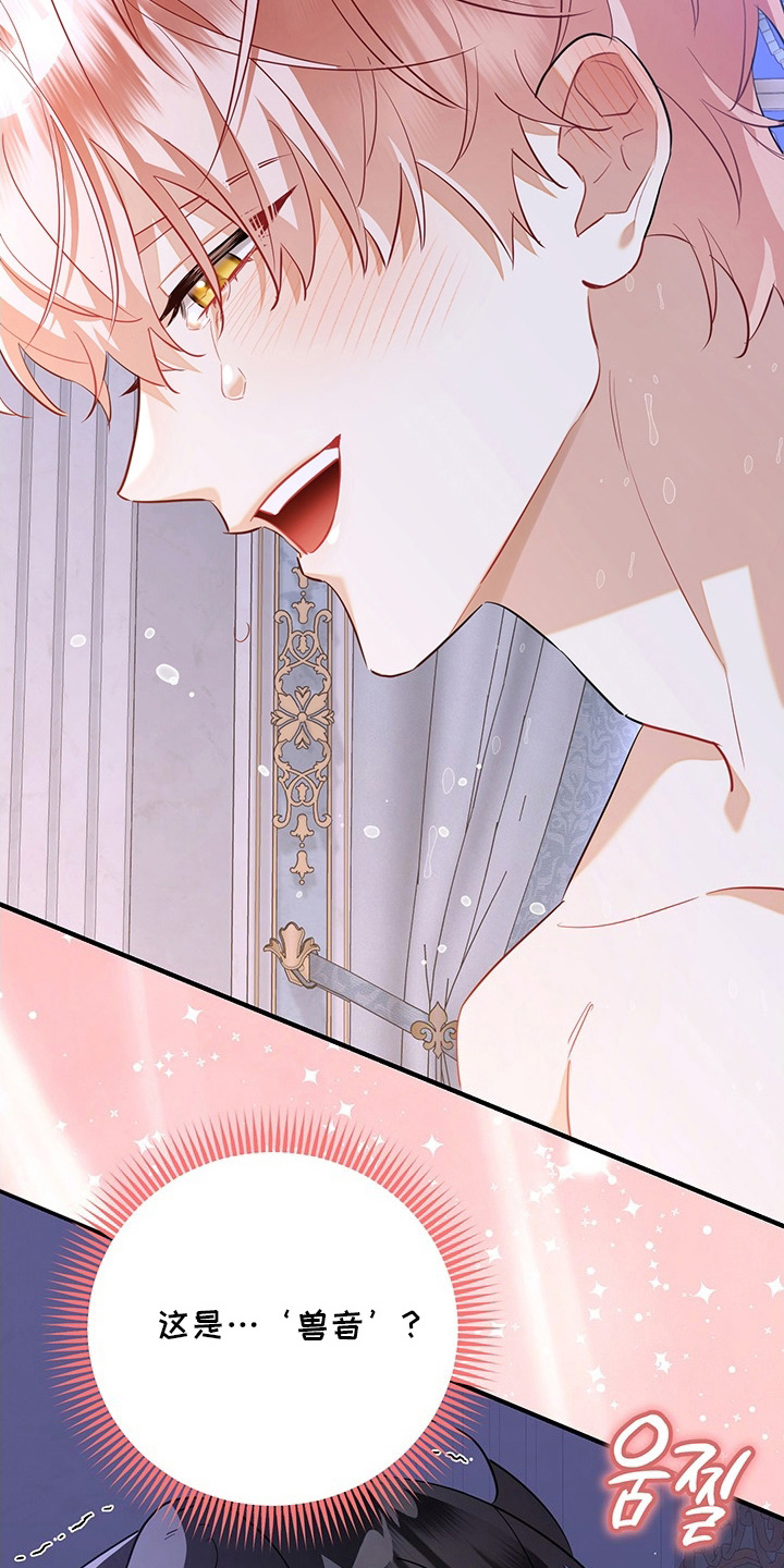 黑豹配偶超棘手漫画,第1章：意外5图